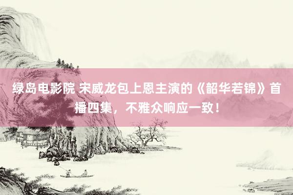 绿岛电影院 宋威龙包上恩主演的《韶华若锦》首播四集，不雅众响